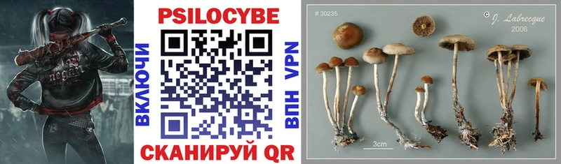 Галлюциногенные грибы Magic Shrooms  Навашино 